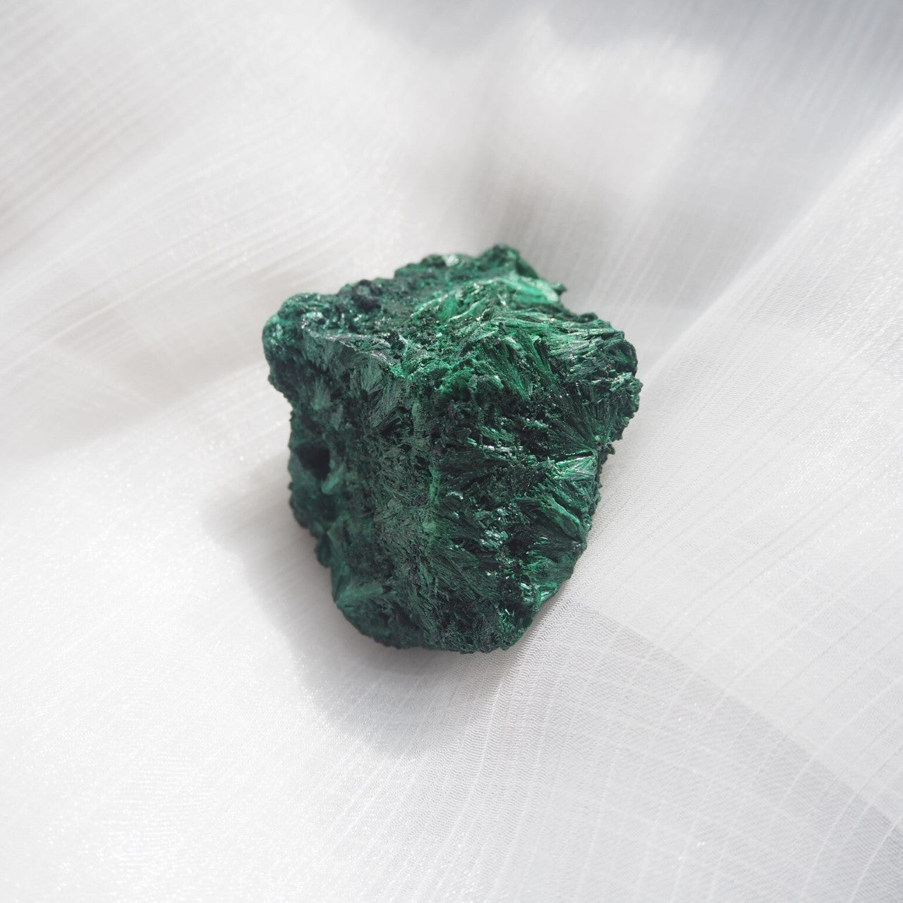 Malachite - Fresh Leaves