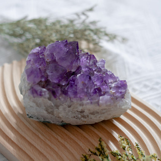 Amethyst Rutilated Cluster - Butterfly Pea Cake